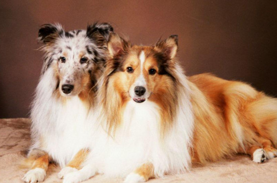 ι������Ҫע���12��