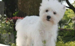 �����ʹ����ѻ���ʲô���֣�