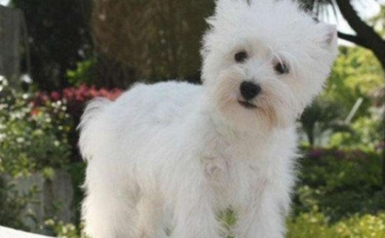 �����ʹ����ѻ���ʲô���֣�