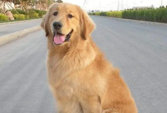 �������ëȮ��