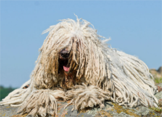 ��ô�жϹ������Գ�θ�ף�