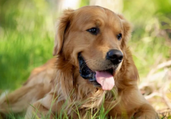 ��ëȮ40����ô��ι����