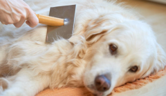 ��ë���������ô��