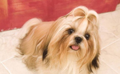 ����Ĺ����ܴ�������