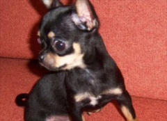 ���乷�����׵�ʲô����