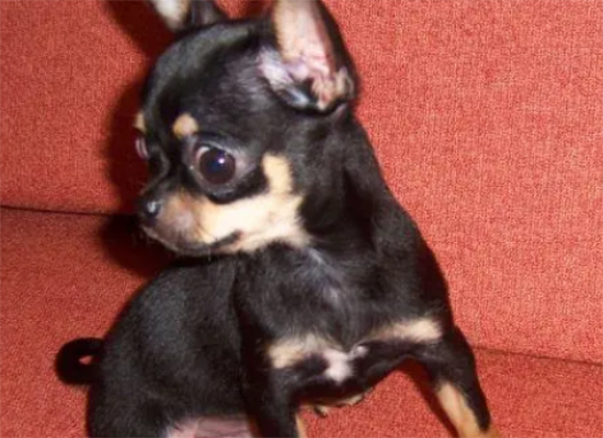 ���乷�����׵�ʲô����