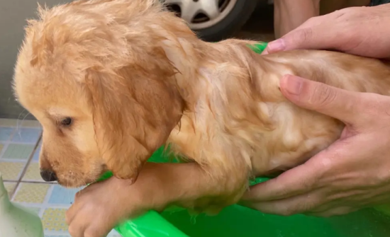 ��ëȮ���ϴһ����ȽϺ�