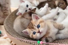 è�䲻����ˮ����������������ˮ��