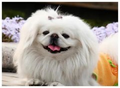 ����ȮŻ����ϡ��ô��