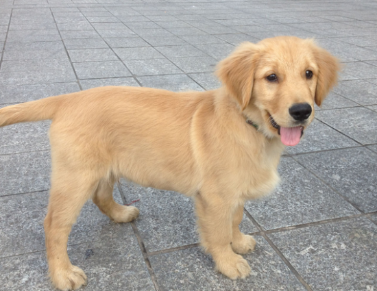 ��ë��Ȯ��ôι����