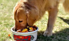 ����Լ�������ë������