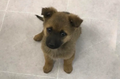 С�����Բ�����ô�죿ϸ�Ĺ۲���