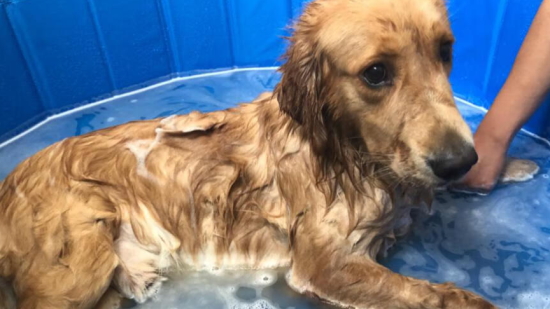 ��ë���ϴһ���������