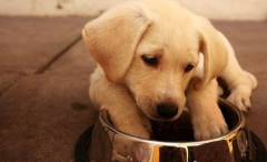 ��ëȮ���Գ��׷���