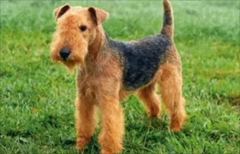 ��Ϊʲô��ÿ�Ȯ��������ô����ģ�