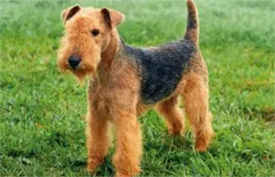 ��Ϊʲô��ÿ�Ȯ��������ô����ģ�