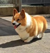 ���깷������������