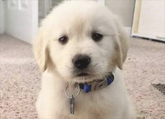 ��ëȮ�۾�������ô��