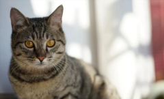 è���ð���񲻺ò��Զ�����ô�죿