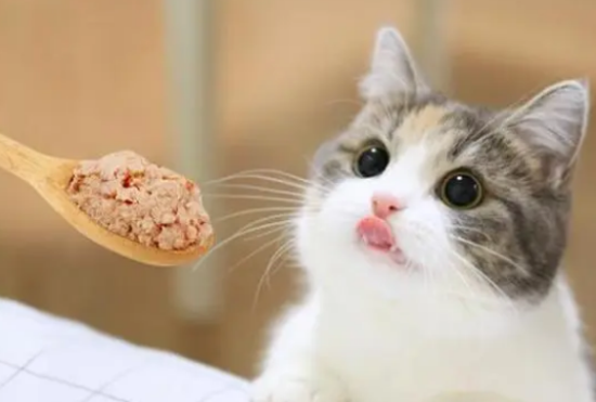 è����ë��5��ԭ��