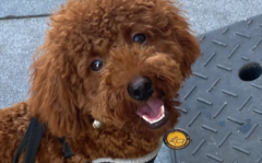 ̩��Ȯ����ѵ����ѵ��̩�ϵ�С����