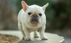 ѵ��������С��ķ���