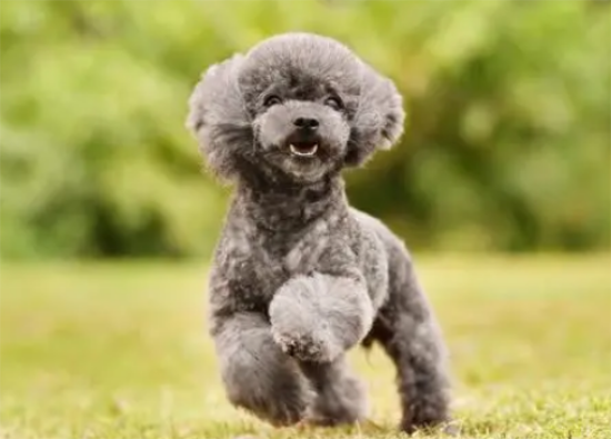 ̩�ϵ�����ѵ��������ѵ������