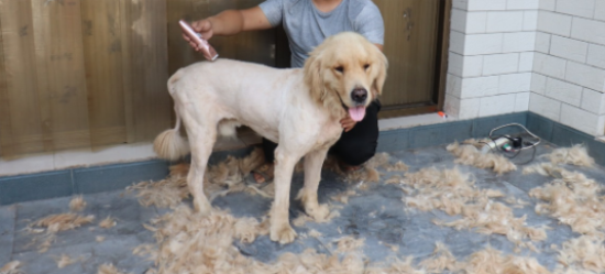 ��ë��ë����ܳ���