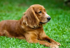 ��ëȱ���Ȼ���ô����