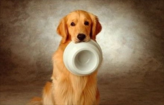 ��ëһ�첻�Է�����ô��