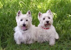 ����Ī��������ע��