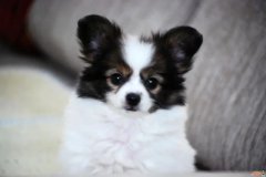 ��ôѵ������С�㣿�����ҶԺ���Ҫ