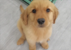 ����ë��Ȯ��Ҫע��ʲô����