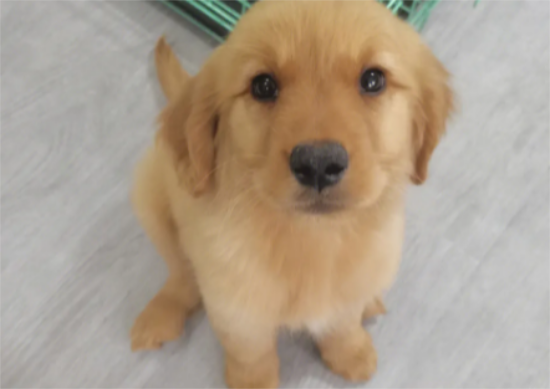 ����ë��Ȯ��Ҫע��ʲô����