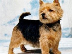 ���������辭�����