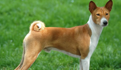 ��������Ǵ���ʲôҩ���ƣ�