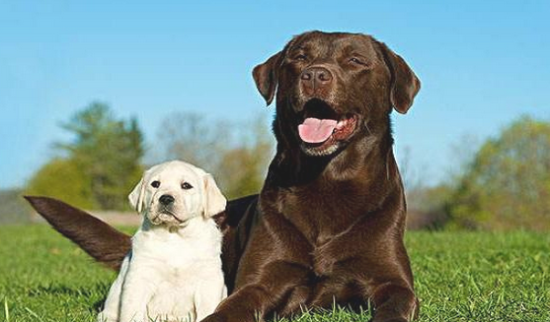 ��������ּ��֣��������������