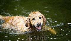 �����ëȮ����Ӿ��ð�