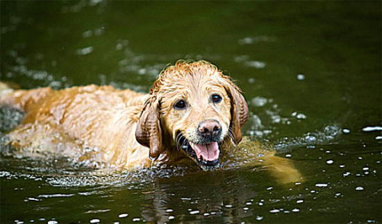 �����ëȮ����Ӿ��ð�