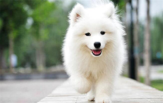 ������������Ҫע�������