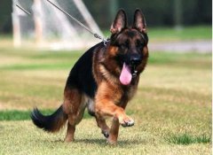 ����������ˣ���ѵ����λ����