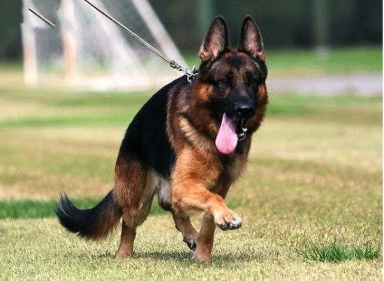 ����������ˣ���ѵ����λ����