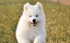 ������ʲôϴ��ã��������벻��