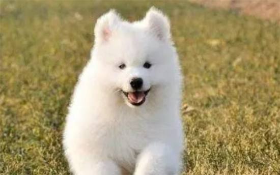 ������ʲôϴ��ã��������벻��