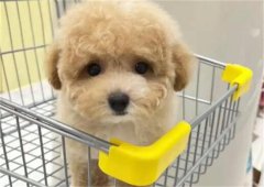 ���Ȯ��ÿ��Զ���