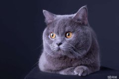 èΪʲô���ڴ�������