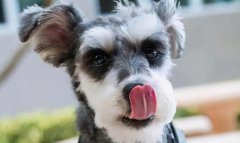 ��ѩ����Ȯ�ֿ�ʳ������ķ���