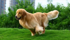 ��ëȮ�Ը���ô����