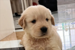 ��ë��ʲô������ð�