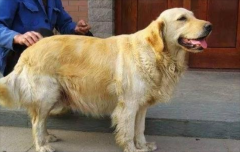 ��ë���ƹ�������ô����